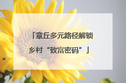 章丘多元路径解锁乡村“致富密码”
