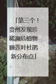 第三个！贵州发现珍稀濒危植物睡莲叶杜鹃新分布点
