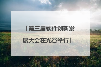 第三届软件创新发展大会在光谷举行