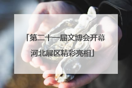 第二十一届文博会开幕 河北展区精彩亮相