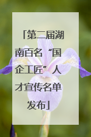第二届湖南百名“国企工匠”人才宣传名单发布