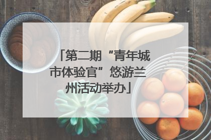 第二期“青年城市体验官”悠游兰州活动举办