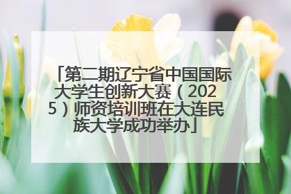 第二期辽宁省中国国际大学生创新大赛（2025）师资培训班在大连民族大学成功举办