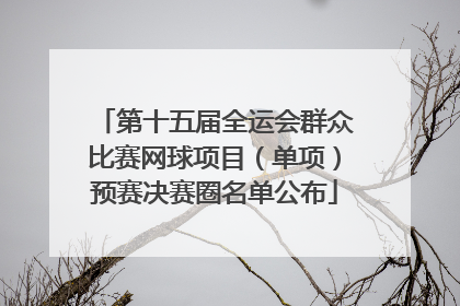 第十五届全运会群众比赛网球项目（单项）预赛决赛圈名单公布