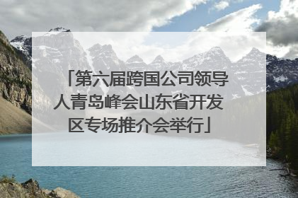 第六届跨国公司领导人青岛峰会山东省开发区专场推介会举行
