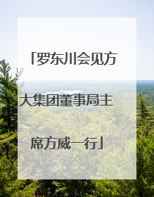 罗东川会见方大集团董事局主席方威一行