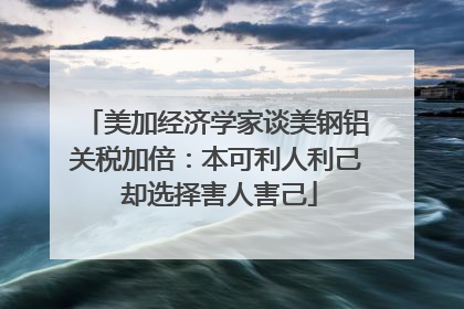 美加经济学家谈美钢铝关税加倍：本可利人利己 却选择害人害己