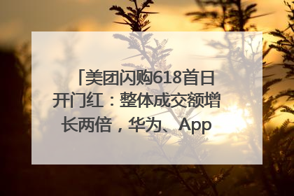美团闪购618首日开门红：整体成交额增长两倍，华为、Apple、沃尔玛等近800个品牌翻倍增长