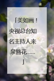 美如画！央视总台知名主持人来泉簪花……