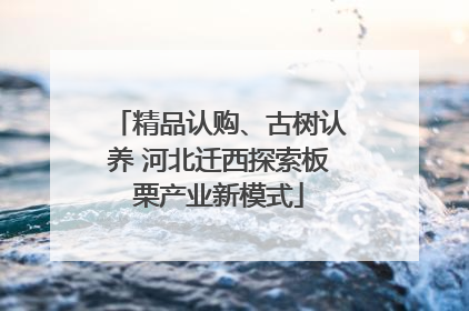 精品认购、古树认养 河北迁西探索板栗产业新模式