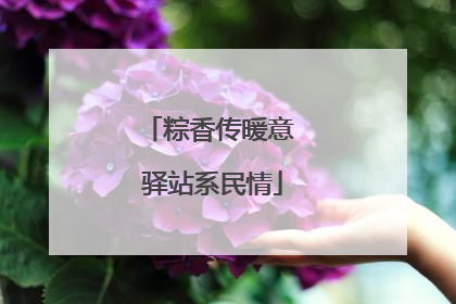 粽香传暖意 驿站系民情