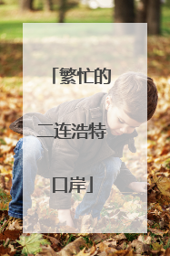 繁忙的二连浩特口岸