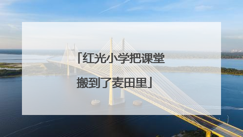 红光小学把课堂搬到了麦田里