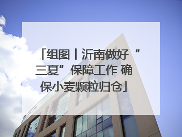 组图丨沂南做好“三夏”保障工作 确保小麦颗粒归仓