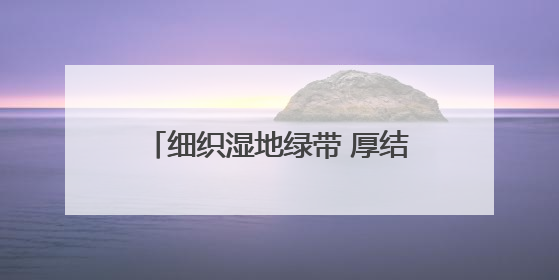 细织湿地绿带 厚结“文旅明珠”——中法武汉生态示范城挖掘绿色发展新动能