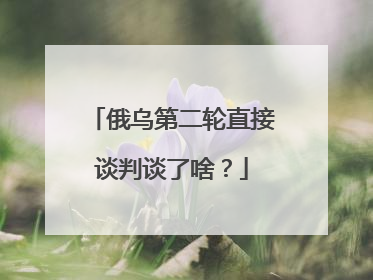 俄乌第二轮直接谈判谈了啥？