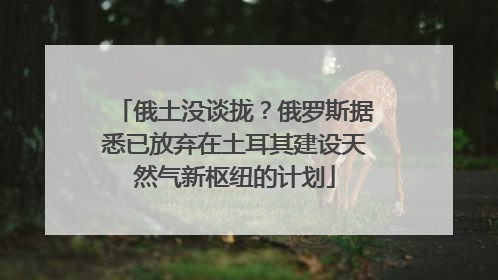 俄土没谈拢？俄罗斯据悉已放弃在土耳其建设天然气新枢纽的计划