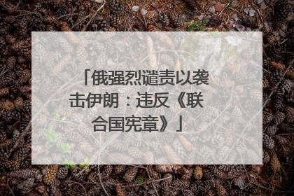 俄强烈谴责以袭击伊朗：违反《联合国宪章》