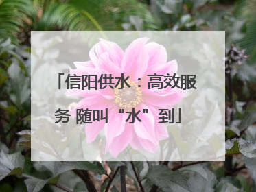 信阳供水：高效服务 随叫“水”到
