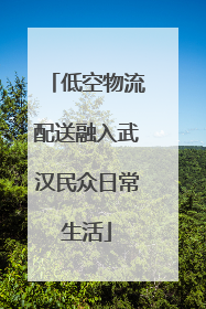 低空物流配送融入武汉民众日常生活