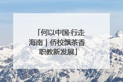 何以中国·行走海南｜侨校飘茶香 职教新发展