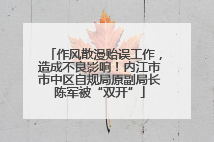作风散漫贻误工作，造成不良影响！内江市市中区自规局原副局长陈军被“双开”