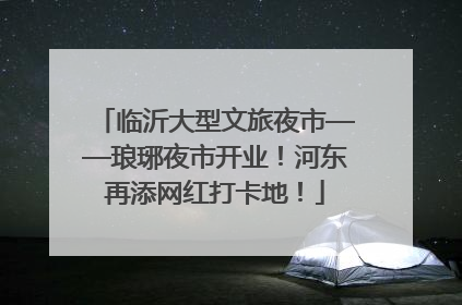 临沂大型文旅夜市——琅琊夜市开业！河东再添网红打卡地！