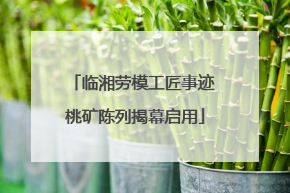 临湘劳模工匠事迹桃矿陈列揭幕启用