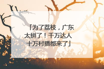 为了荔枝，广东太拼了！千万达人十万村播都来了
