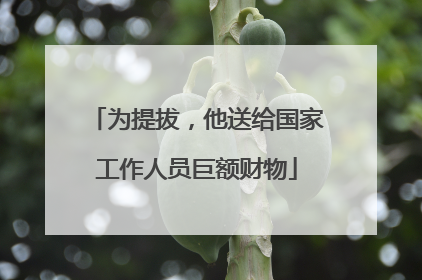 为提拔，他送给国家工作人员巨额财物
