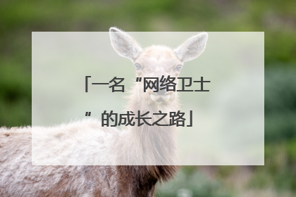 一名“网络卫士”的成长之路