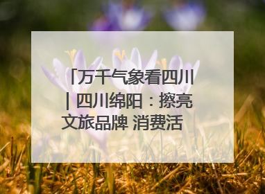 万千气象看四川｜四川绵阳：擦亮文旅品牌 消费活力继续释放