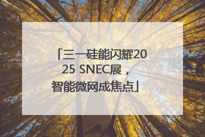 三一硅能闪耀2025 SNEC展，智能微网成焦点