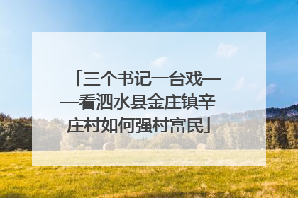 三个书记一台戏——看泗水县金庄镇辛庄村如何强村富民