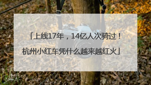 上线17年，14亿人次骑过！杭州小红车凭什么越来越红火