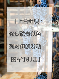 上合组织：强烈谴责以色列对伊朗发动的军事打击