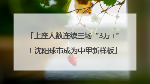 上座人数连续三场“3万+”！沈阳球市成为中甲新样板