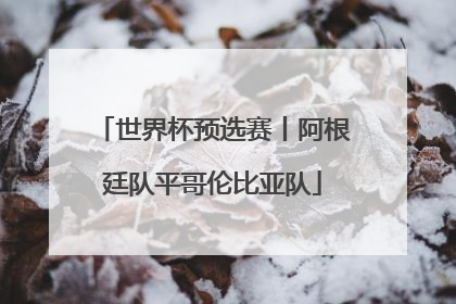 世界杯预选赛丨阿根廷队平哥伦比亚队