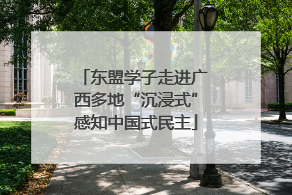 东盟学子走进广西多地“沉浸式”感知中国式民主