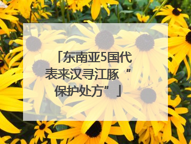 东南亚5国代表来汉寻江豚“保护处方”