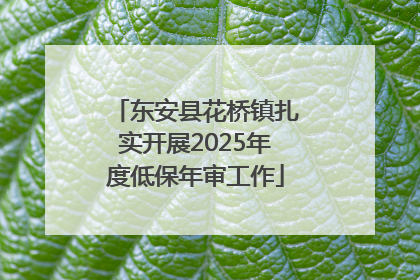东安县花桥镇扎实开展2025年度低保年审工作