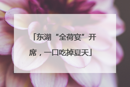 东湖“全荷宴”开席，一口吃掉夏天