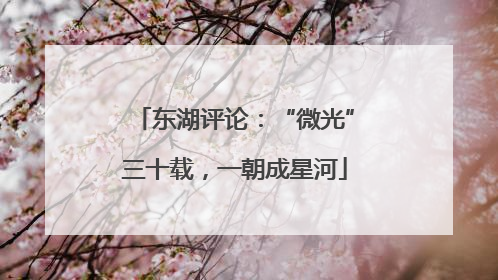 东湖评论：“微光”三十载，一朝成星河