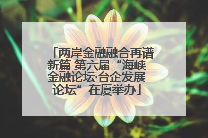 两岸金融融合再谱新篇 第六届“海峡金融论坛·台企发展论坛”在厦举办