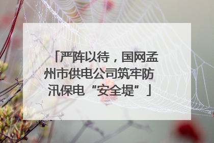 严阵以待，国网孟州市供电公司筑牢防汛保电“安全堤”