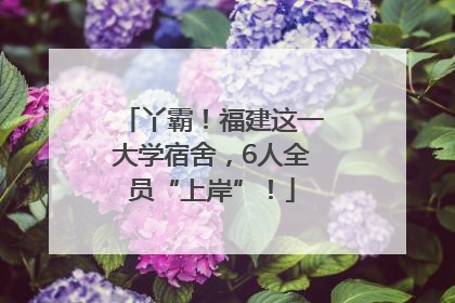 丫霸！福建这一大学宿舍，6人全员“上岸”！