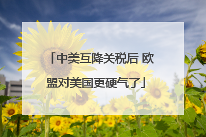 中美互降关税后 欧盟对美国更硬气了