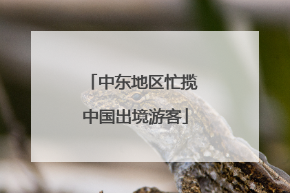 中东地区忙揽中国出境游客