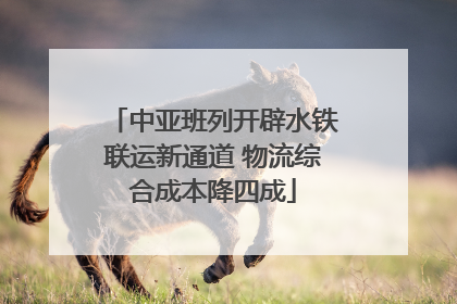 中亚班列开辟水铁联运新通道 物流综合成本降四成