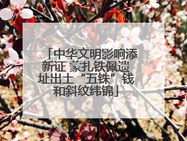 中华文明影响添新证 蒙扎铁佩遗址出土“五铢”钱和斜纹纬锦